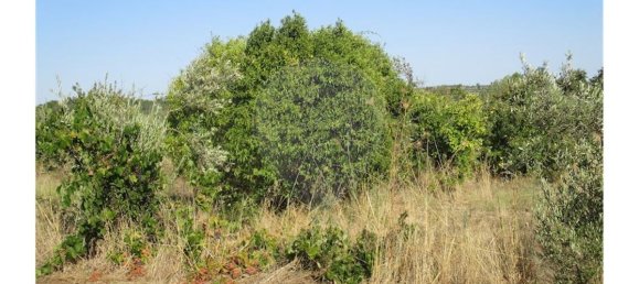 9 bedrooms House in Idanha a Nova, Portugal No. 188680 35