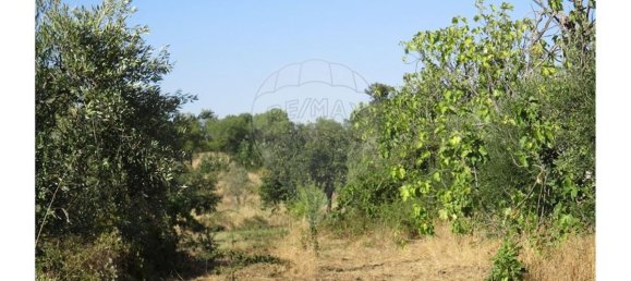 9 bedrooms House in Idanha a Nova, Portugal No. 188680 23