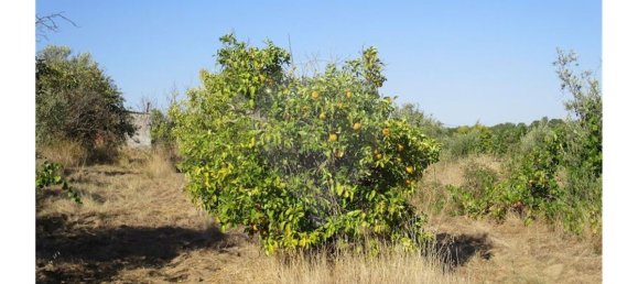 9 bedrooms House in Idanha a Nova, Portugal No. 188680 34