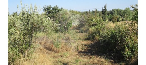 9 bedrooms House in Idanha a Nova, Portugal No. 188680 36