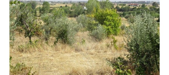 9 bedrooms House in Idanha a Nova, Portugal No. 188680 50