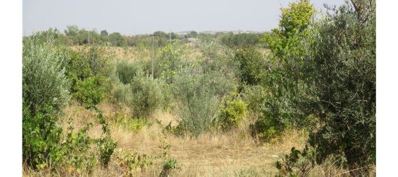 9 bedrooms House in Idanha a Nova, Portugal No. 188680 49