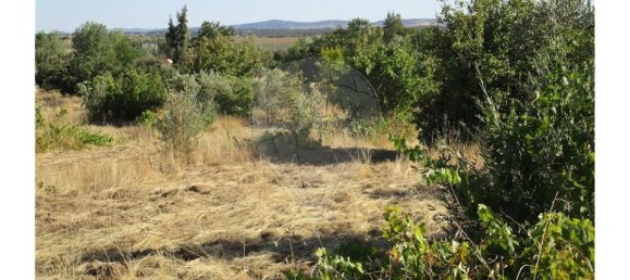 9 bedrooms House in Idanha a Nova, Portugal No. 188680 39