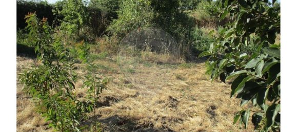 9 bedrooms House in Idanha a Nova, Portugal No. 188680 16