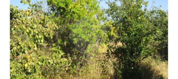 9 bedrooms House in Idanha a Nova, Portugal No. 188680 29