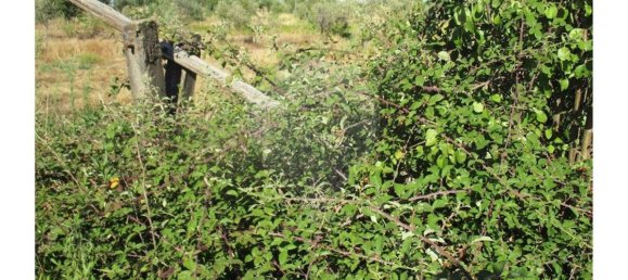 9 bedrooms House in Idanha a Nova, Portugal No. 188680 43