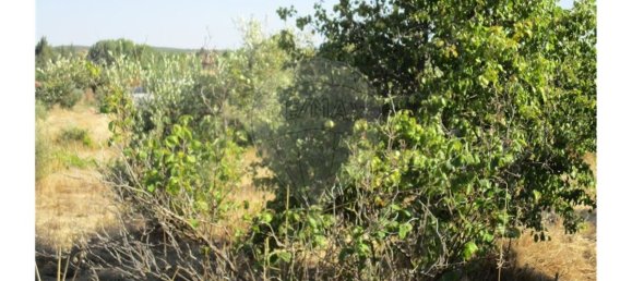 9 bedrooms House in Idanha a Nova, Portugal No. 188680 32