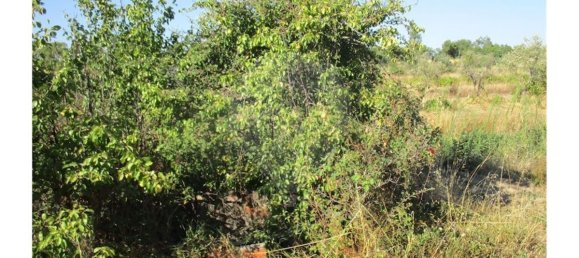 9 bedrooms House in Idanha a Nova, Portugal No. 188680 44