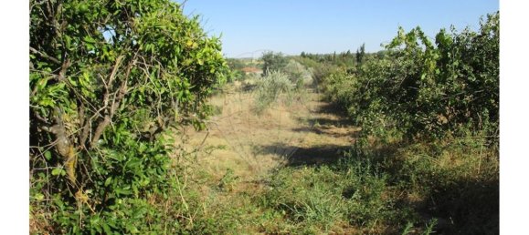 9 bedrooms House in Idanha a Nova, Portugal No. 188680 37