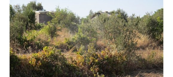 9 bedrooms House in Idanha a Nova, Portugal No. 188680 22