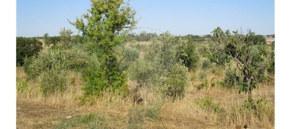 9 bedrooms House in Idanha a Nova, Portugal No. 188680 38