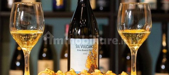 3غرفة عقار تجاري في Sant'Agata li Battiati, Italy رقم 284517 6