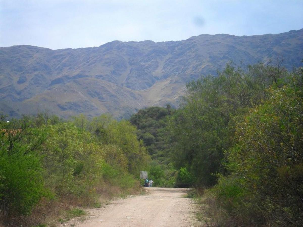  Land in San Luis, Argentina No. 36624