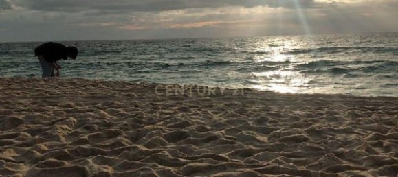 استوديو في Alcacer do Sal, Portugal رقم 118890 39