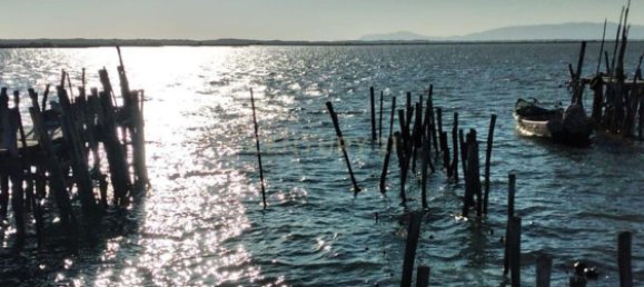 استوديو في Alcacer do Sal, Portugal رقم 118890 21