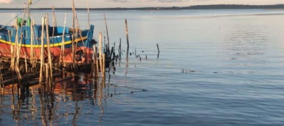 استوديو في Alcacer do Sal, Portugal رقم 118890 40