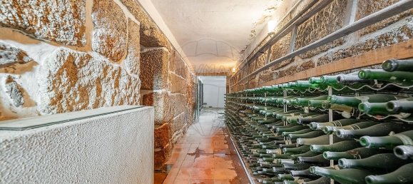 8 Schlafzimmer Haus in Arnoia, Portugal, Nr. 167227 38