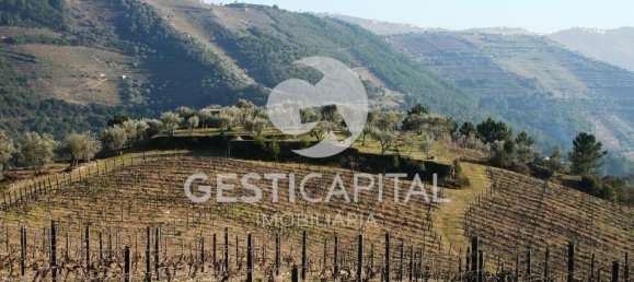 4 chambres Châteaux à Cumieira, Portugal No. 126251 28