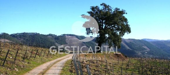 4 chambres Châteaux à Cumieira, Portugal No. 126251 44