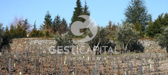 4 chambres Châteaux à Cumieira, Portugal No. 126251 3