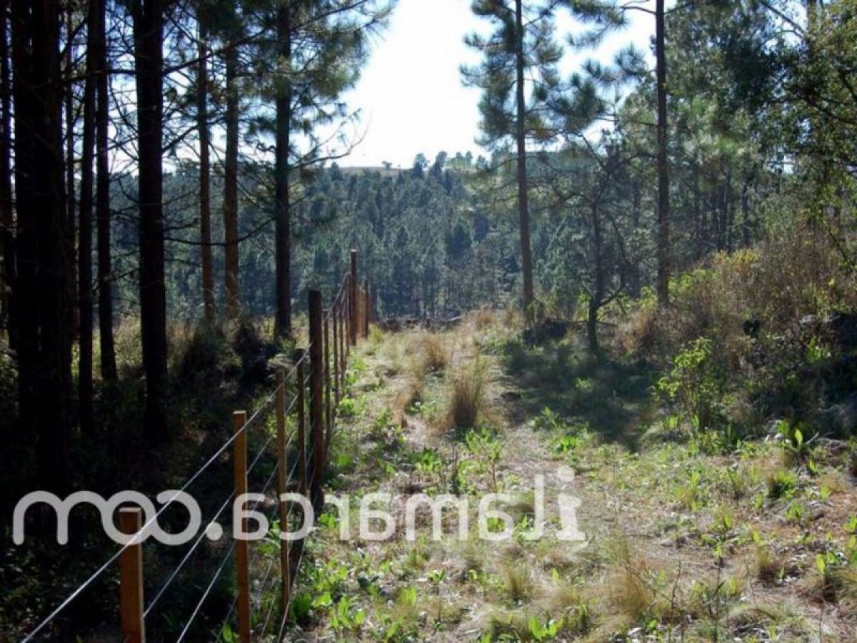 Terrain à Cordoba, Argentina No. 42159