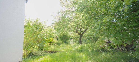 Студия в Занкт Пёльтен, Австрия № 12499 26