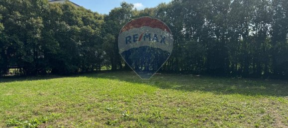 Дом с 6 комнатами в Альфонсине, Италия № 162787 15