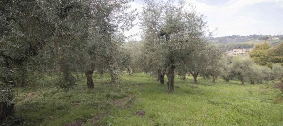 35500m² Land in Poggio Mirteto, Italy No. 204965 14