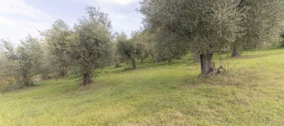 35500m² Land in Poggio Mirteto, Italy No. 204965 5