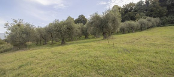 35500m² Land in Poggio Mirteto, Italy No. 204965 8