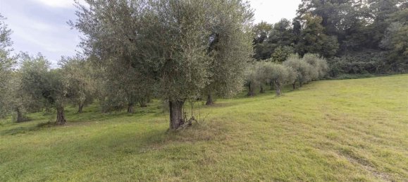 35500m² Land in Poggio Mirteto, Italy No. 204965 4