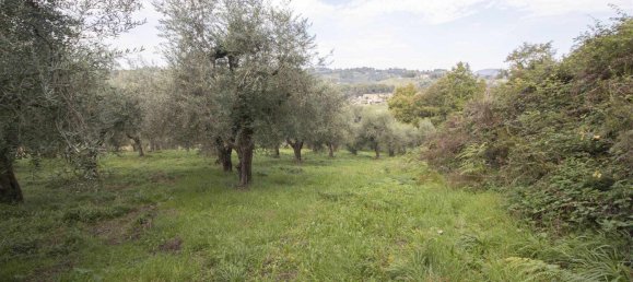 35500m² Land in Poggio Mirteto, Italy No. 204965 13