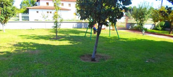 Propiedad comercial de 5 dormitorios en Vasilika, Greece No. 5991 13