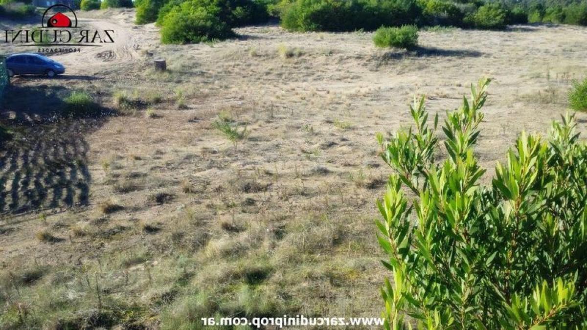 Земельный участок в Мар-дель-Плата, Аргентина № 118515