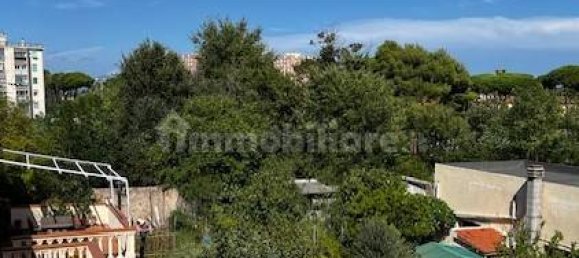 1 bedroom Apartment in Livorno, Italy No. 351031 10