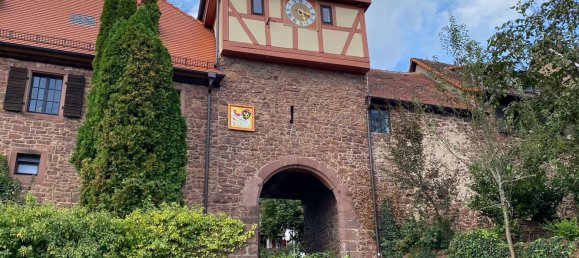 4 bedrooms House in Rhein-Neckar-Kreis, Germany No. 71122 10