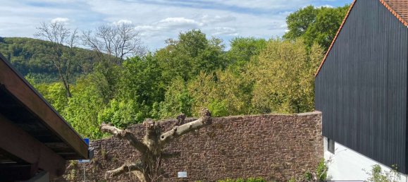 4 bedrooms House in Rhein-Neckar-Kreis, Germany No. 71122 6