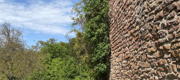 4 bedrooms House in Rhein-Neckar-Kreis, Germany No. 71122 11