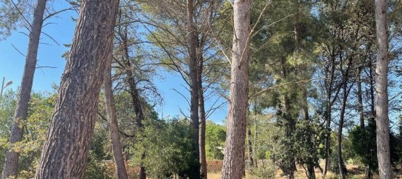 Villa de 3 dormitorios en Ceglie Messapica, Italy No. 269081 30