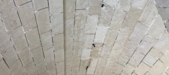 Villa de 3 dormitorios en Ceglie Messapica, Italy No. 269081 10