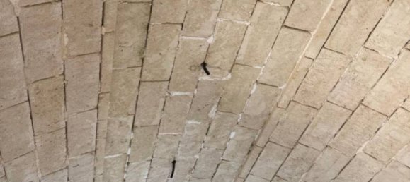 Villa de 3 dormitorios en Ceglie Messapica, Italy No. 269081 8