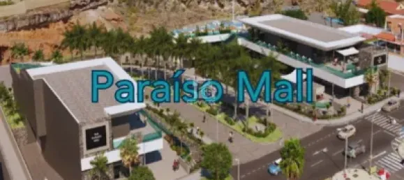 11380m² Land in Adeje, Spain No. 172538 25