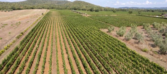 8 rooms House in Capalbio, Italy No. 152395 4