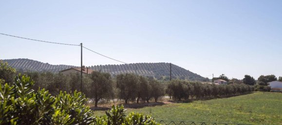 8 rooms House in Capalbio, Italy No. 152395 14