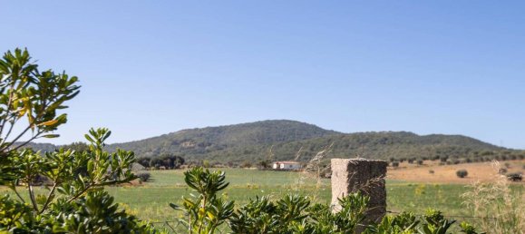 8 rooms House in Capalbio, Italy No. 152395 13