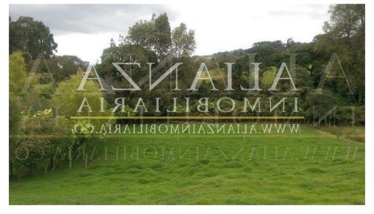  Land in Cundinamarca, Colombia No. 563