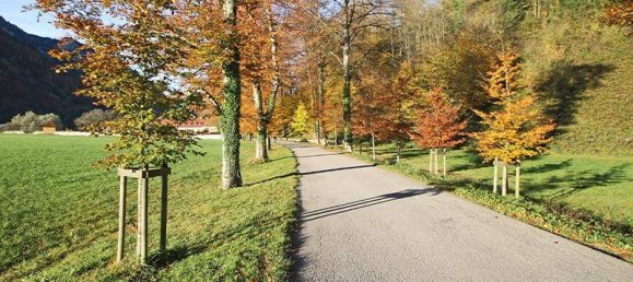 1 غرف نوم شقة في Grodig, Austria رقم 41134 5