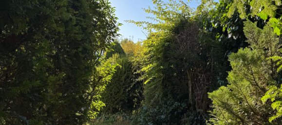 4 bedrooms Townhouse in Stuttgart, Germany No. 333894 16