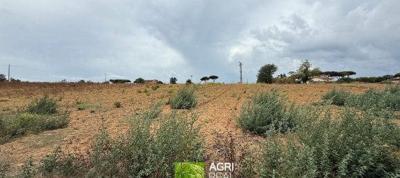 Land in Sabaudia, Italy No. 316624 10