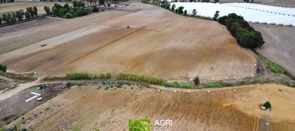 Land in Sabaudia, Italy No. 316624 5